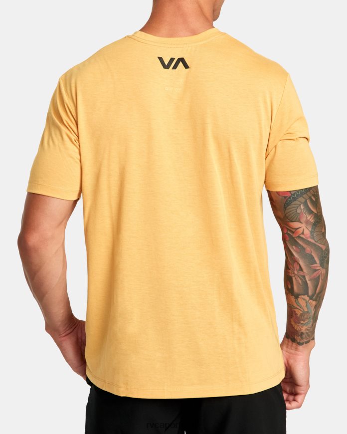 roupas RVCA homens va borrão camiseta ouro N00F2H25
