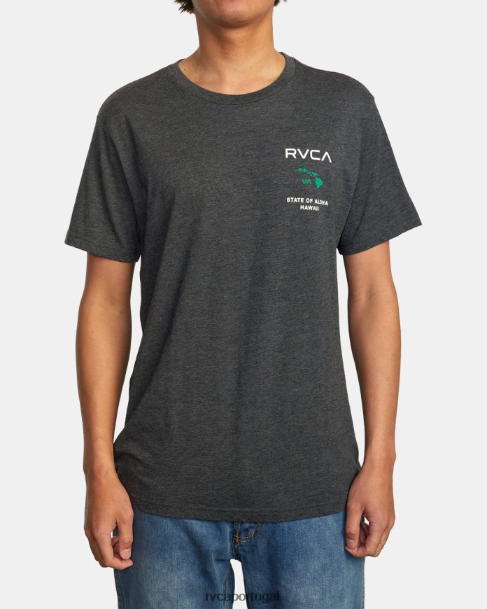 roupas RVCA homens camiseta estado de aloha Preto Verde N00F2H702