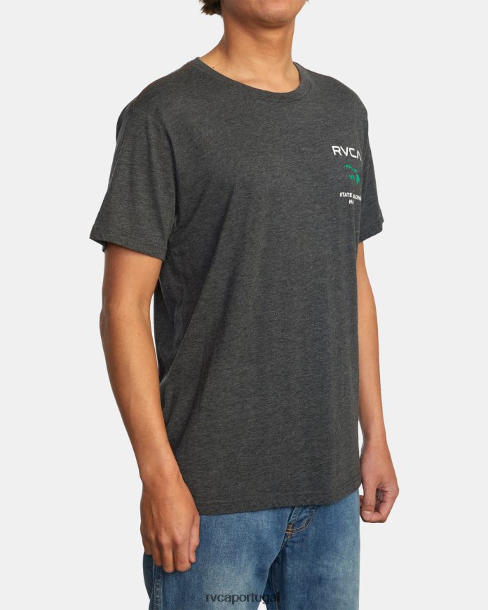 roupas RVCA homens camiseta estado de aloha Preto Verde N00F2H702