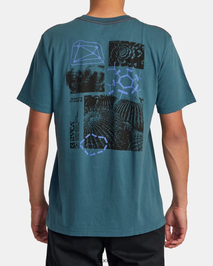 roupas RVCA homens camiseta etnobotônica pato azul N00F2H203