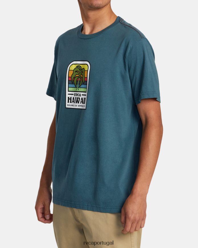 roupas RVCA homens camiseta flora da ilha do Havaí pato azul N00F2H52