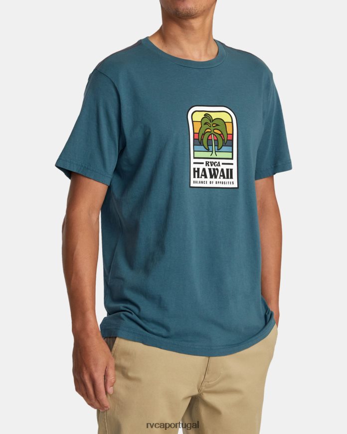 roupas RVCA homens camiseta flora da ilha do Havaí pato azul N00F2H52