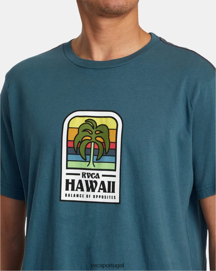 roupas RVCA homens camiseta flora da ilha do Havaí pato azul N00F2H52