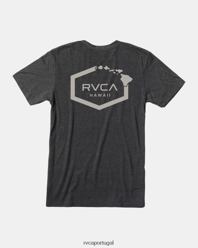roupas RVCA homens camiseta hexagonal havaí preto N00F2H147