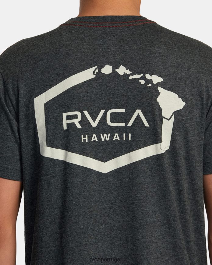 roupas RVCA homens camiseta hexagonal havaí preto N00F2H147