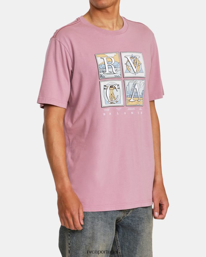 roupas RVCA homens camiseta natural lavanda N00F2H986